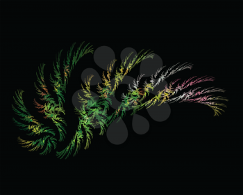 Abstract Vector Fractal Art Multi Color Wing on Black Background 