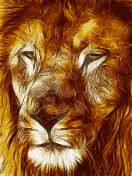 Close-up picture illustration of Large Lion face Vector