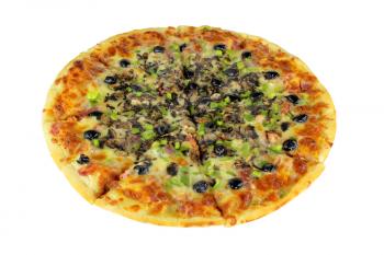 Picture of Isolated Complete Quattro Stragioni Pizza
