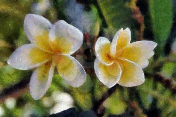 Painting of Two Bright White and Yellow Magnolia Flowers