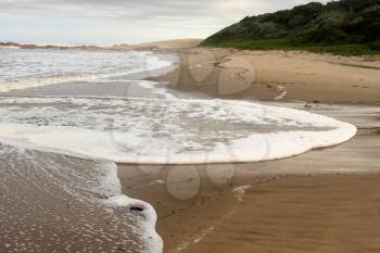 Picture of Foamy Wave with Debris on Beach