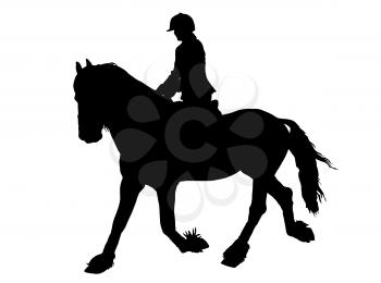 Silhouette of Female Rider on a Lipizzaner horse