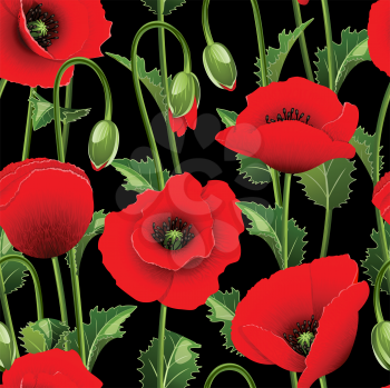 Royalty Free Clipart Image of a Poppy Background