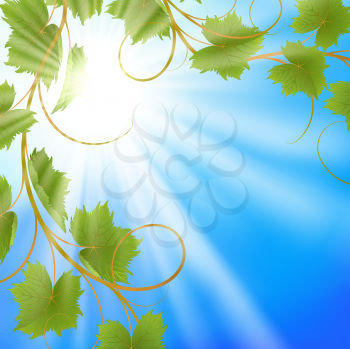 Royalty Free Clipart Image of Vines Against a Blue Sunny Sky