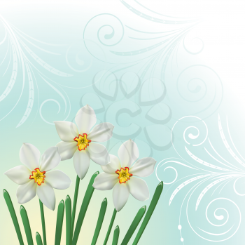 Royalty Free Clipart Image of a Spring Background With Narcissi and Flourishes