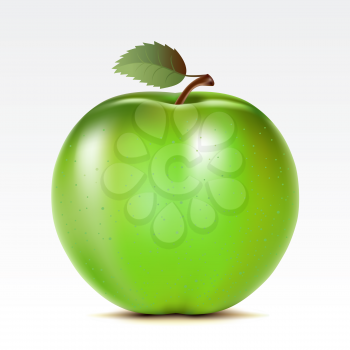 Royalty Free Clipart Image of a Green Apple