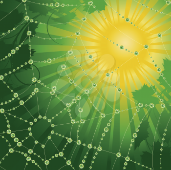 Royalty Free Clipart Image of Sun and a Spiderweb