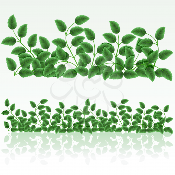 Royalty Free Clipart Image of Leafy Borders