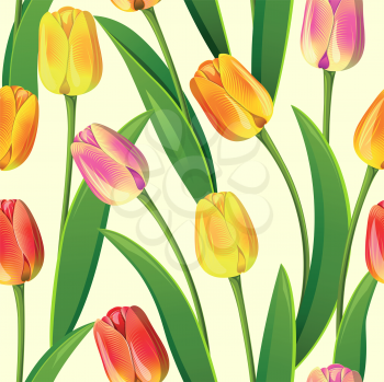 Royalty Free Clipart Image of a Tulip Background