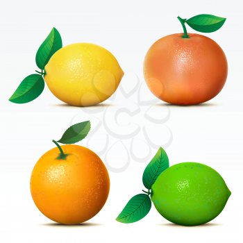 Collection of fruits on white background Mesh.
