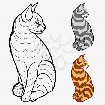 Coloring book pages for kids and adults.(striped cat)
