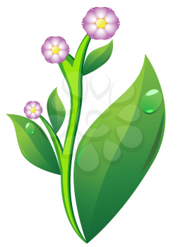 Royalty Free Clipart Image of a Potato Blossom