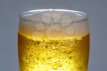 beer is in glass on grey background
