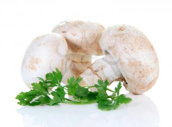 champignon mushroom and parsley isolated on white background
