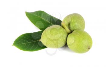 green walnuts isolated on white background