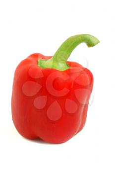 red healthy pepper in white background