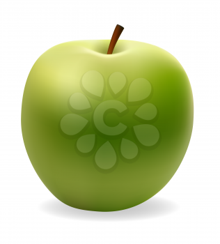 apple green vector illustration isolated on white background
