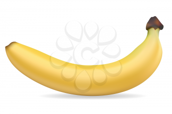 banana vector illustration isolated on white background