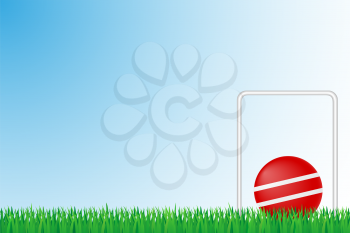 croquet grass field vector illustration isolated on background