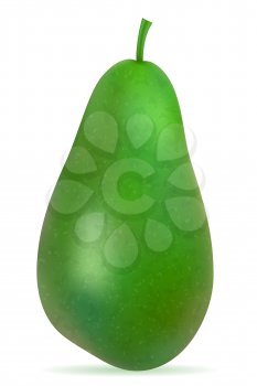 green avocado fresh ripe fruit vector illustration isolated on white background
