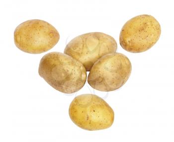  fresh and washed potatoes on white background 