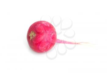 radish on a white background