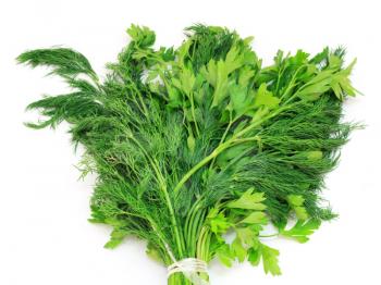 Dill and parsley isolated on a white background 