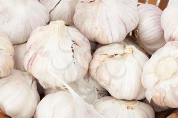 garlic as a background