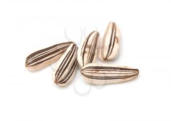 Extreme close-up image of sunflower seeds studio isolated on white background 