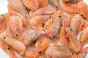 close up of frozen shrimps 