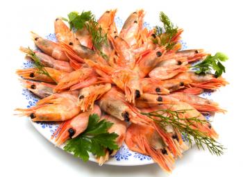 shrimp with parsley on a plate
