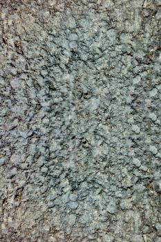 Asphalt texture
