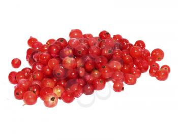 red currant on white background 