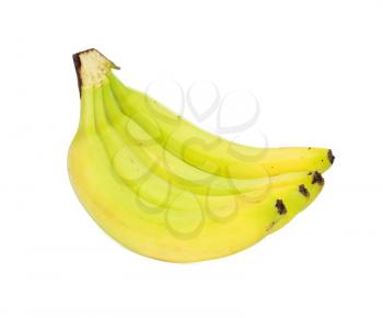 Banana bunch isolated on whiye 