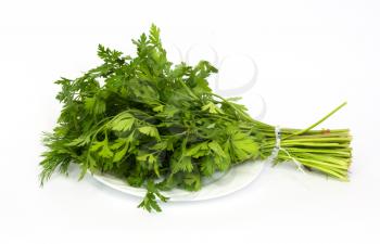 dill and parsley at platw isolated on a white background 