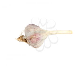 garlic isolated on white background 