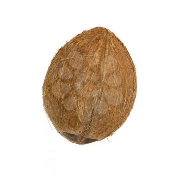 coconut isolated on white background 