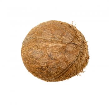 coconut isolated on white background 