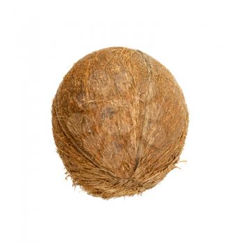 coconut isolated on white background 