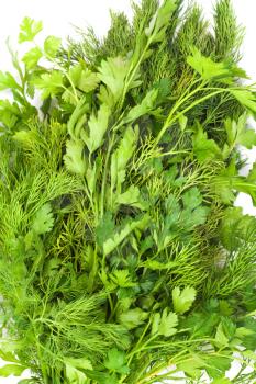 dill and parsley 