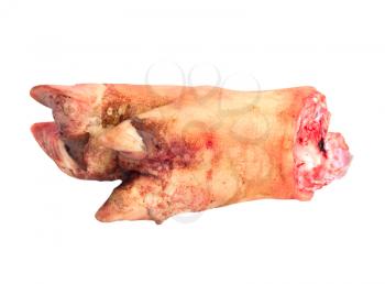 pork leg on white background 