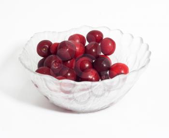 cherries on white background 