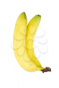 banana bundle 