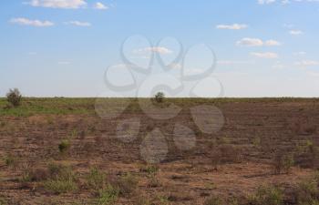 steppe in Kazakhstan