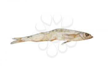 Dried fish on a white background