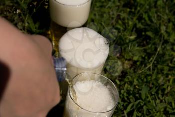 pouring beer mugs on the nature
