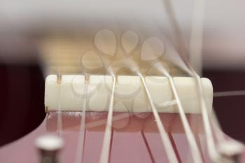 strings on a guitar. macro