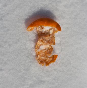 rind of an orange in the snow