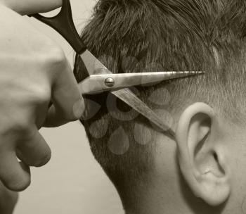 barber shears ear