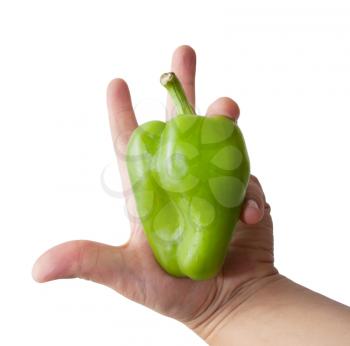 green bell pepper in hand